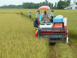 Hỗ trợ 100% lãi suất vốn vay mua thiết bị giảm tổn thất trong nông nghiệp